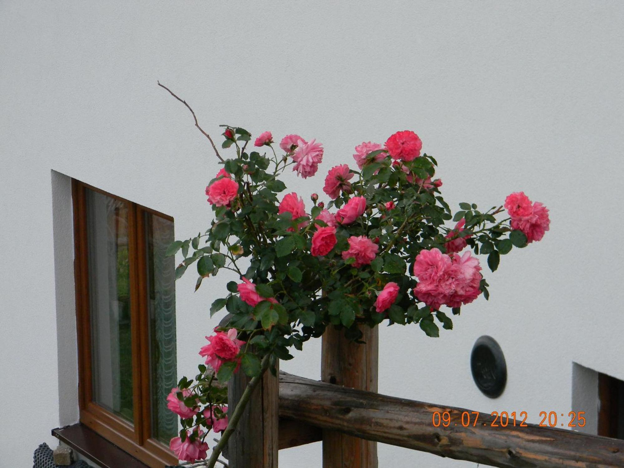 Pokoje Goscinne Kaminscy Gliczarów Exterior foto